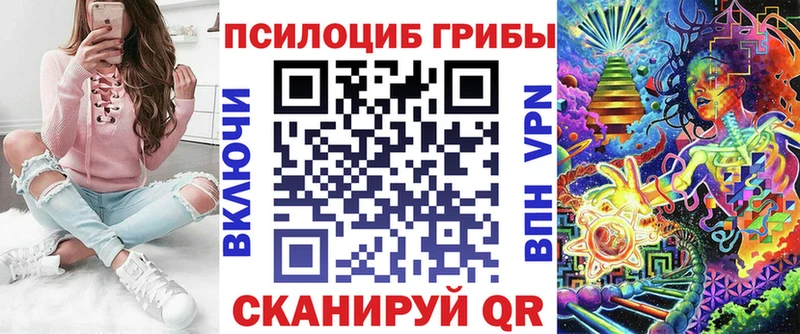 Купить  Сольцы  Псилоцибиновые грибы мицелий 